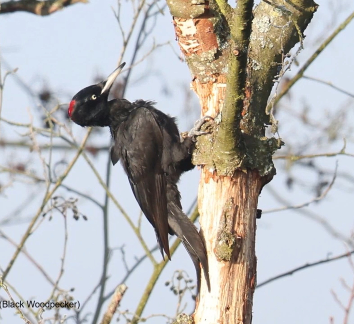 Erste Gemütliche Runde im Neuen Jahr