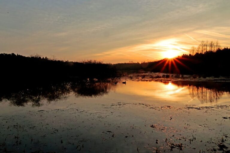 Sonnenaufgang am Biberwoog (Foto: Alexander Weis)